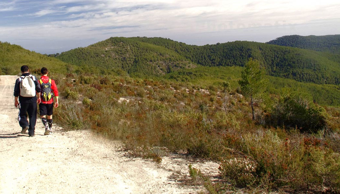 lado salvaje ibiza2