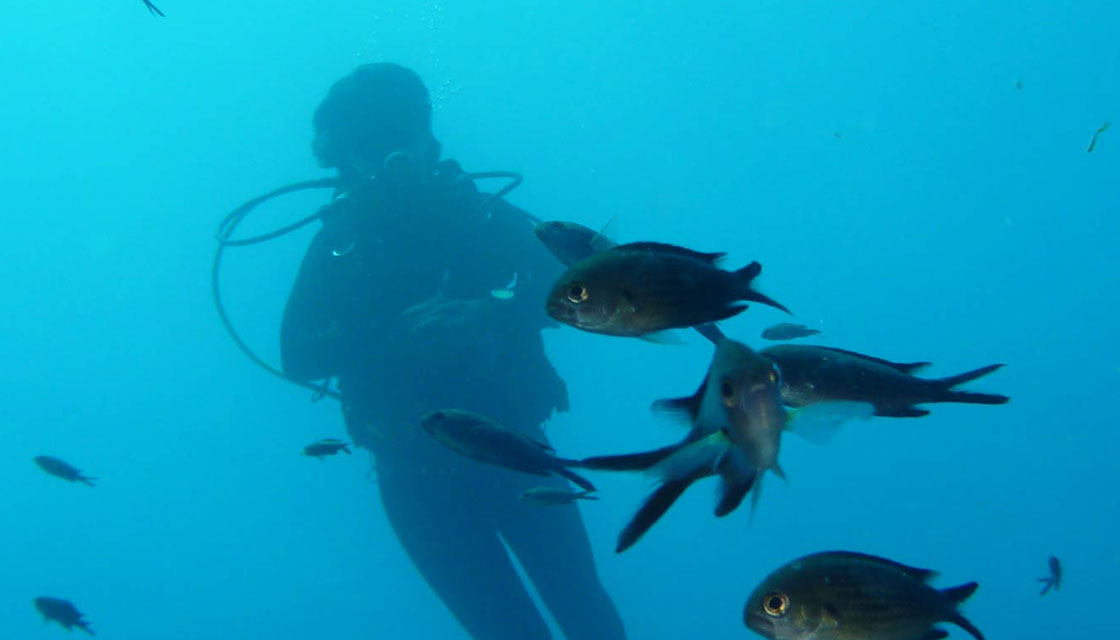 rutas buceo ibiza2